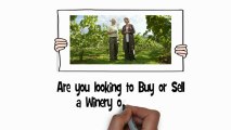 Are You Looking to Buy or Sell a Winery and Vineyard?