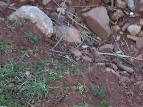 BruléParlesilluminés - Persécution aérienne 3 - 210213