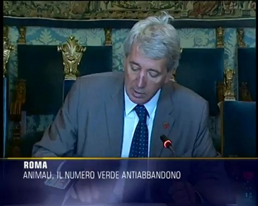 Animali, primo bilancio per la campagna antiabbandono