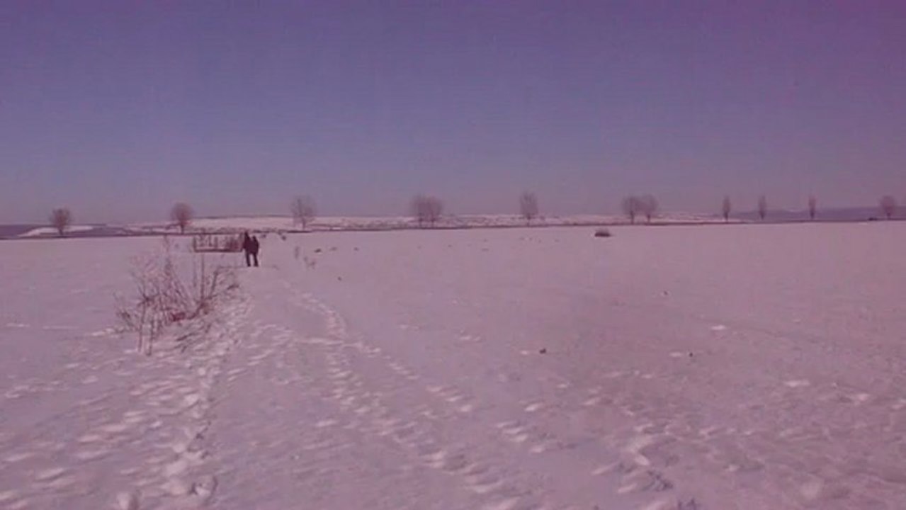 LAND