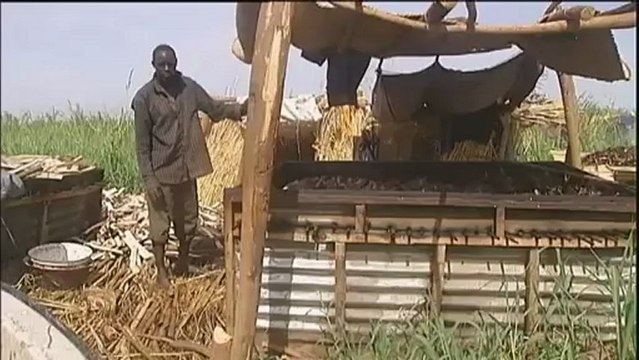 La traque des membres de Boko Haram cible le Lac Tchad