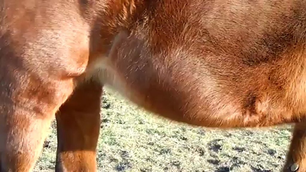 Izie gestation 8 mois et demi