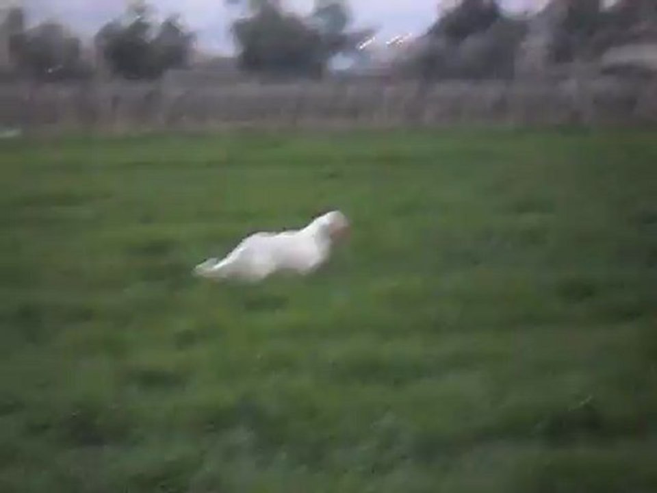 Ferma Eğitim Videosu.