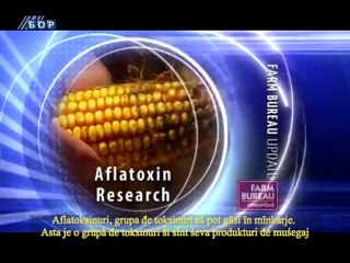 Selo moje (titlovano na vlaškom jeziku), 03. mart 2013.