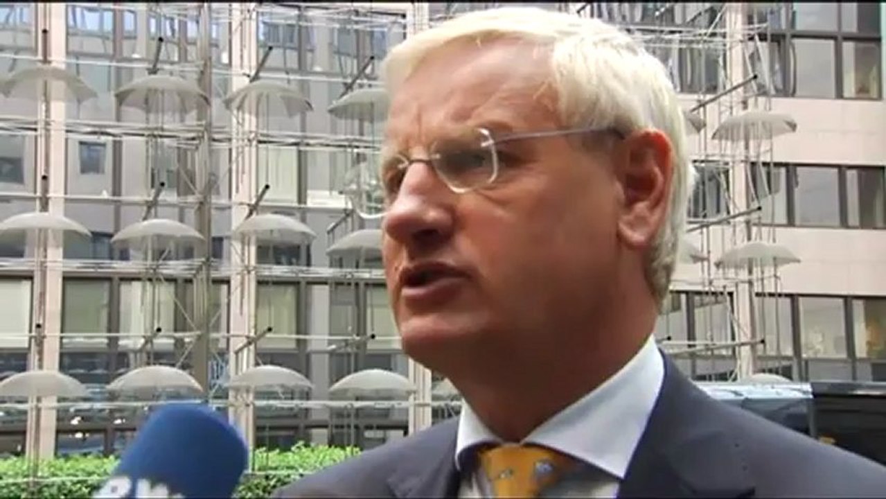 carl bildt - mass murderer - sudan africa