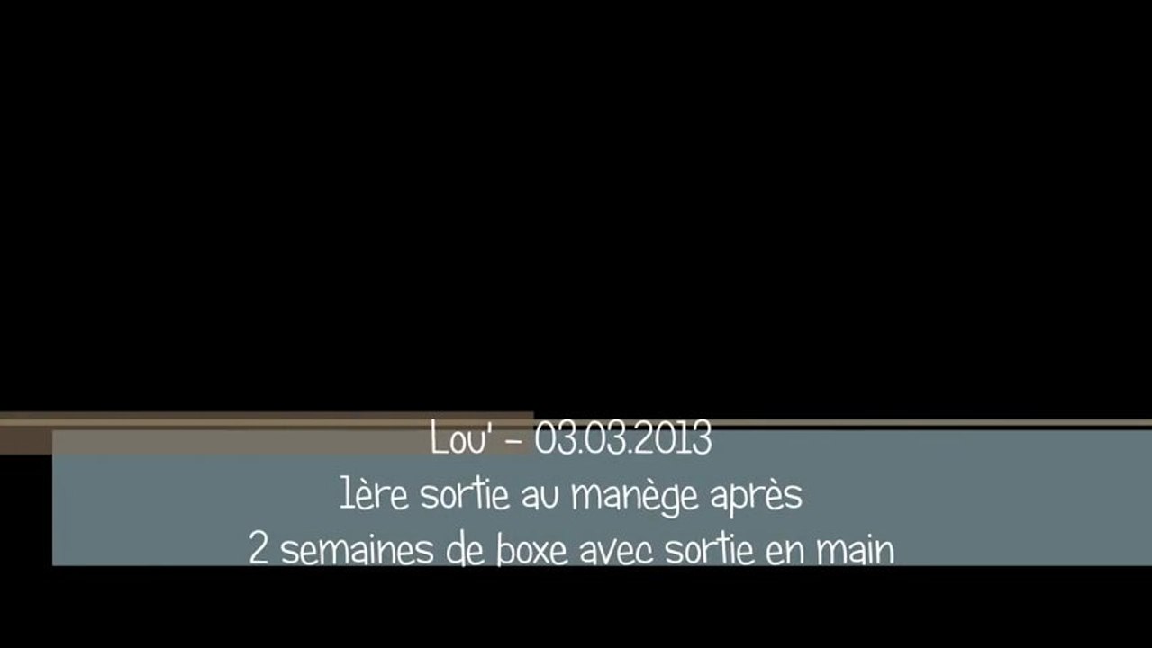 Lou' - 03.03.2013 - 1ere sortie au manège après 2 semaines de boxe avec sortie en main