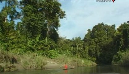 Племя сакуддей