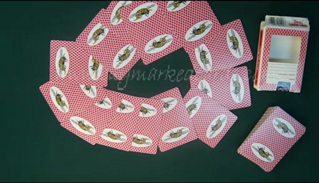 plástico jogando cartas--Bee(With Picture)2--truque de mágica