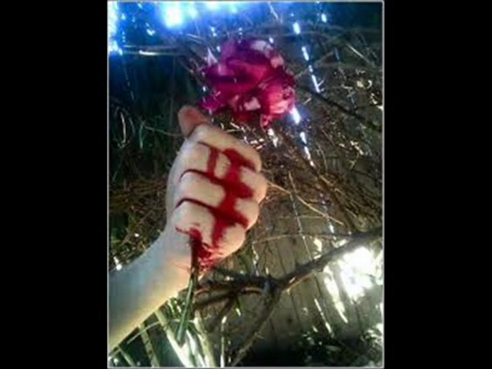 ŞİİR: Erkan İpek | YORUM : ŞiirAşk - Şarkıların Dili 1