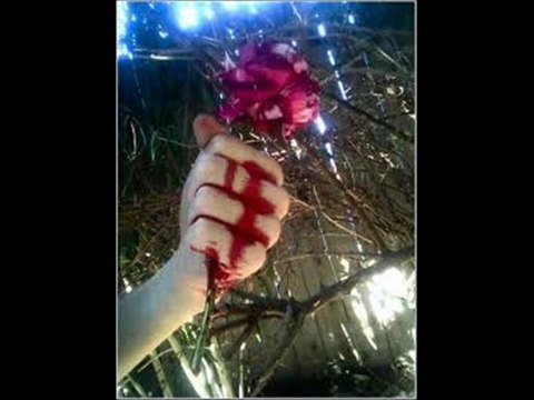 ŞİİR: Erkan İpek | YORUM : ŞiirAşk - Şarkıların Dili 1