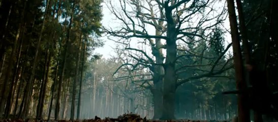 Hansel & Gretel : Witch Hunters - J'adore vos joujous VF