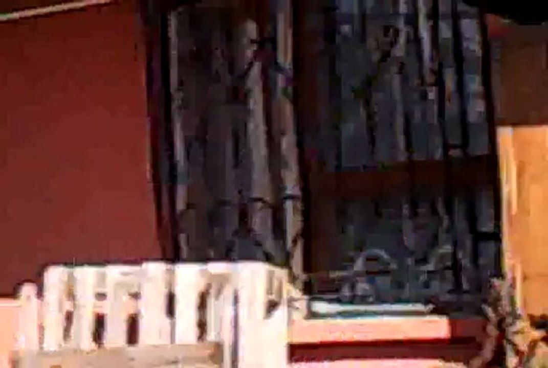 konya taklacı güvercinleri...tuncay başak