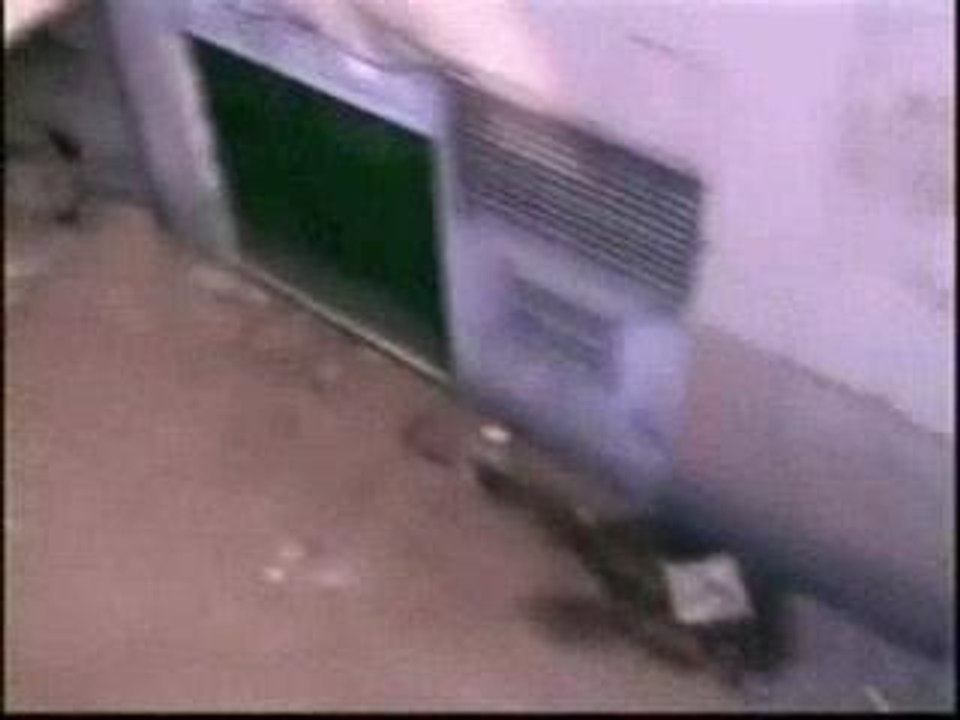 Ses.2 Fusion Traceurs