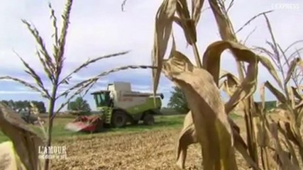 "Oui, on peut trouver l'amour dans le pré, mais sans les caméras!"