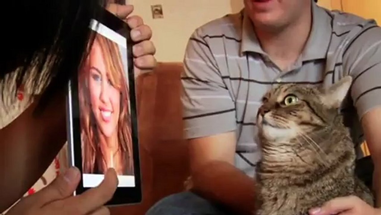 Chat raciste
