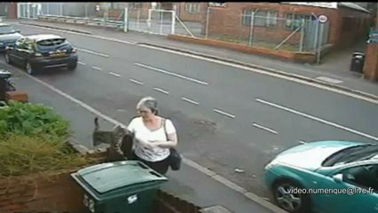 Elle jette un chat à la poubelle !