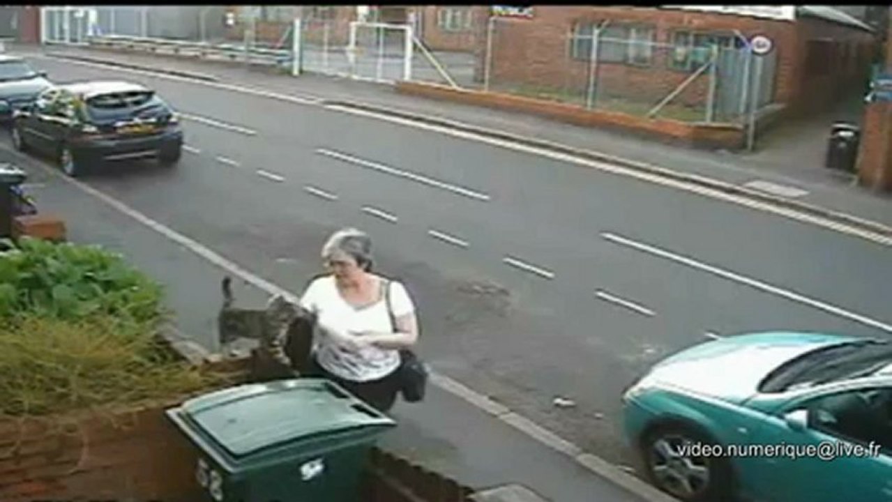 Elle jette un chat à la poubelle !
