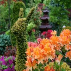 Самые красивые сады мира: идеи и советы для создания красоты у себя дома 🌸