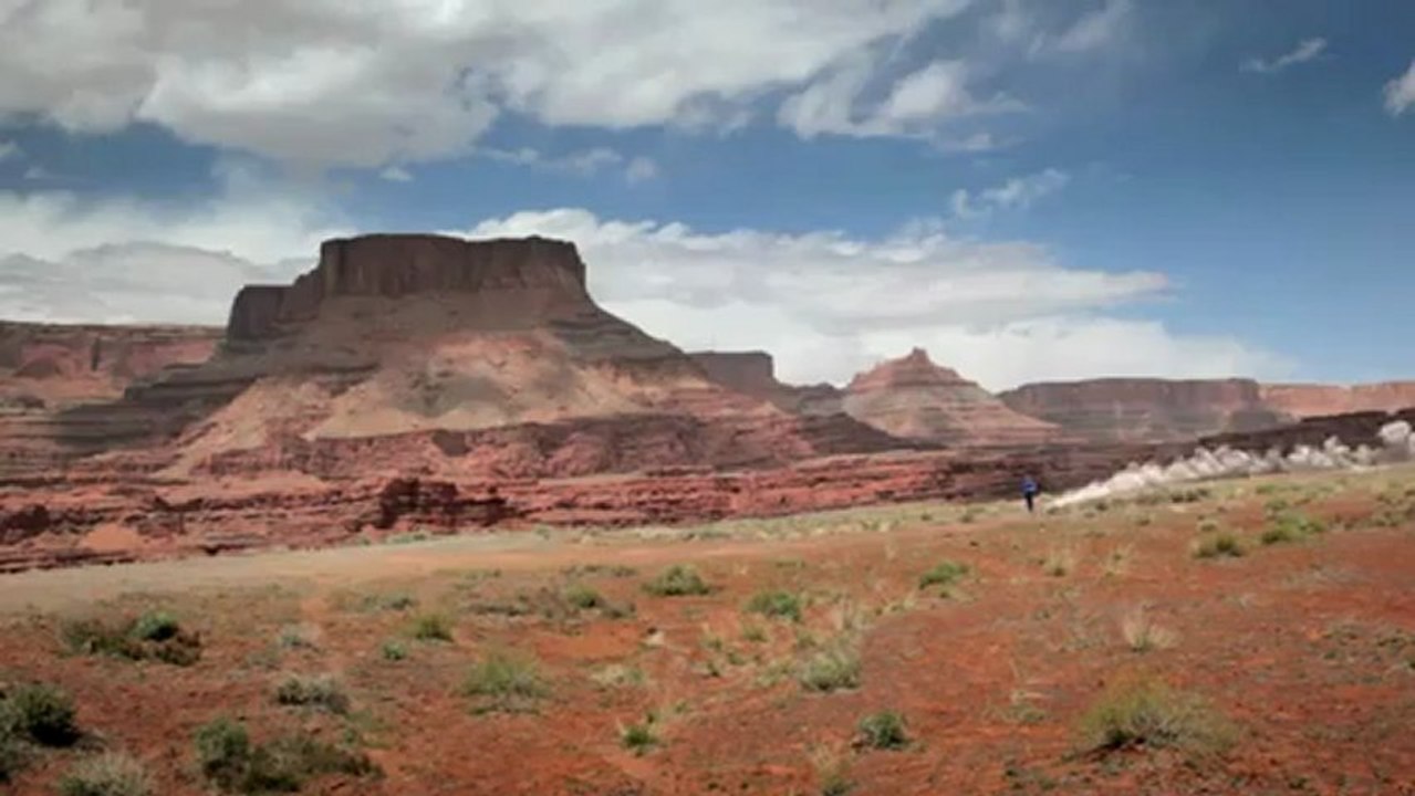 Bip Bip et coyotte en version humaine !