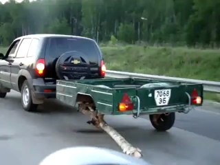 Etrange roue de secours