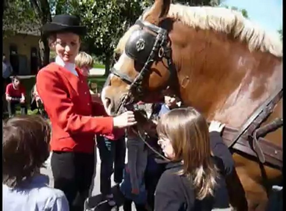 Haras ouvert au public