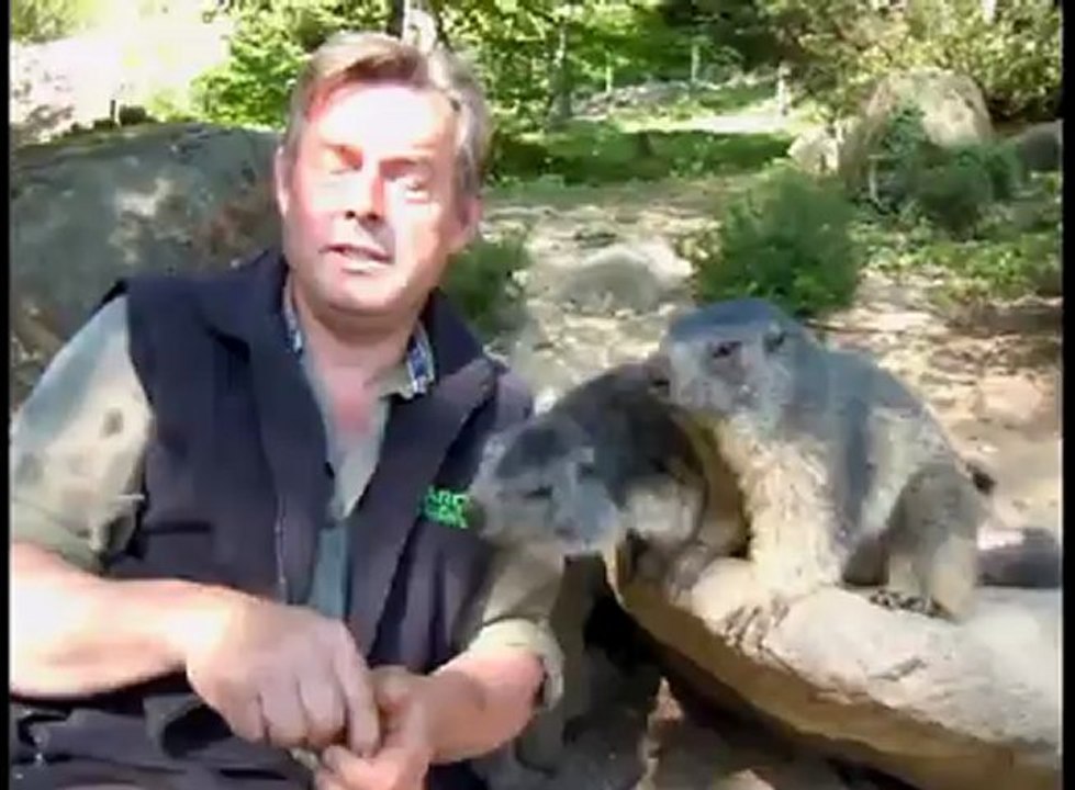 Parc animalier des Pyrénées