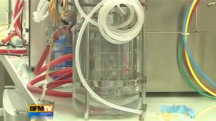 DSK hué par les femmes de chambre