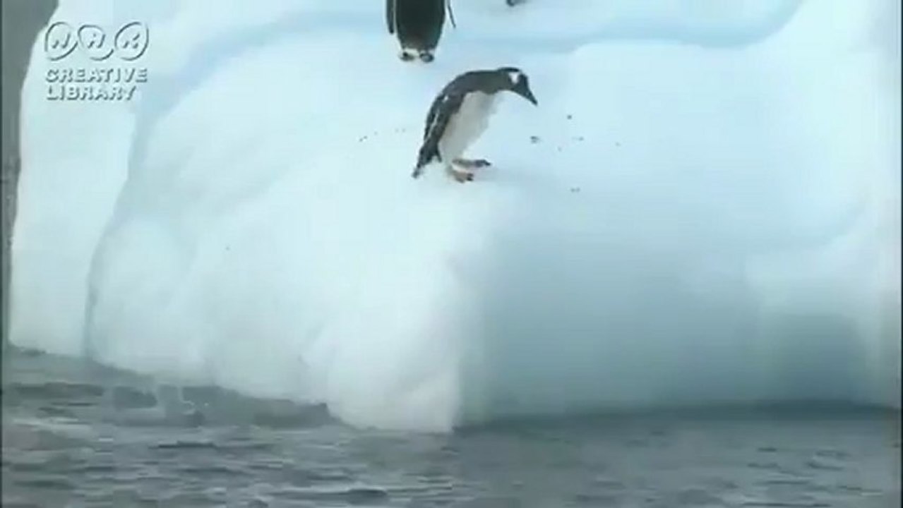 Des manchots sur un iceberg