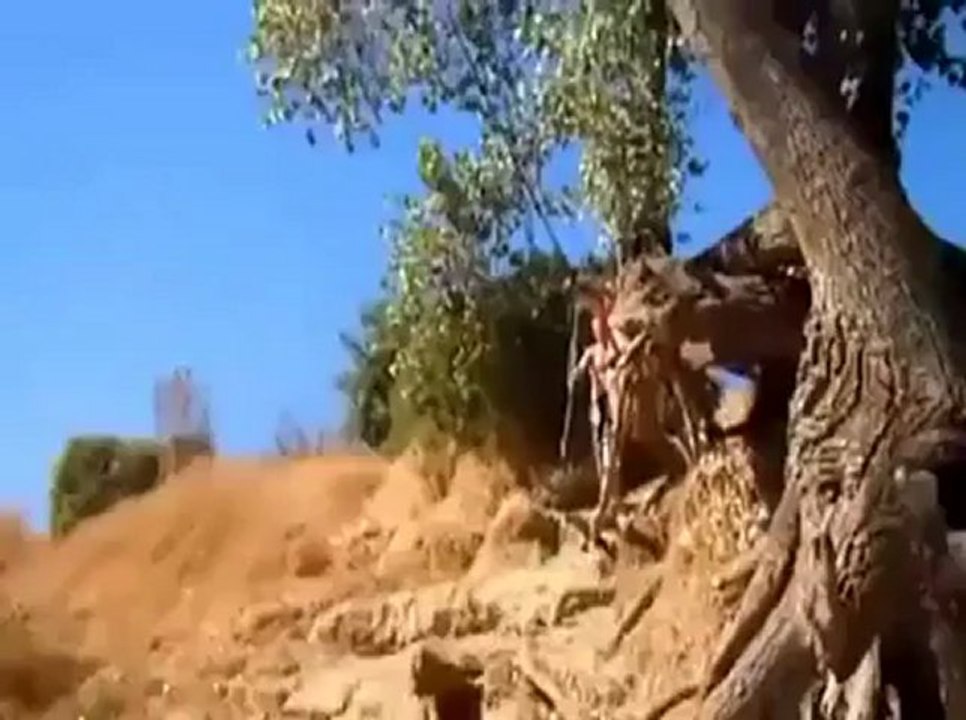Elle joue à Tarzan