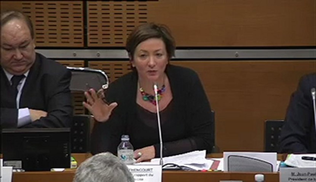 13 février 2013 - Commission du Développement durable :  Réponse de Mme Anne de Bethencourt