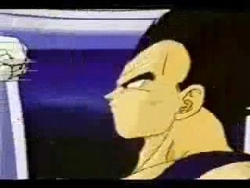 100%vegeta