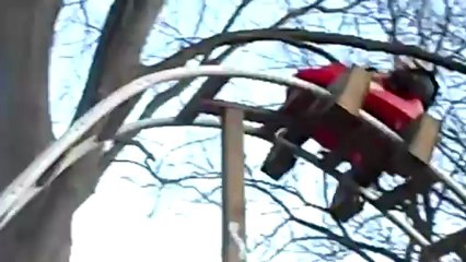 Des montagnes russes dans le jardin