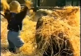 Une fillette s'amuse avec des gorilles