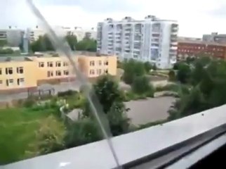 Un chat qui n'aime pas être filmé