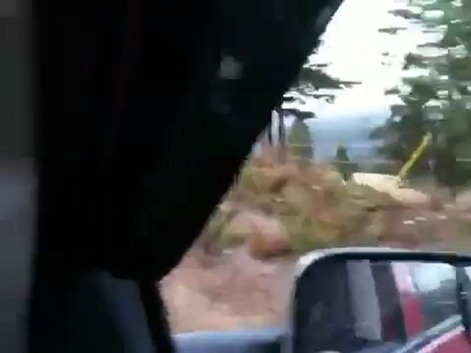 Petit dérapage d'une biche