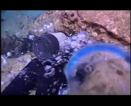 2004. Подводный мир А.Макаревича - 1.Тайны Йонагуни