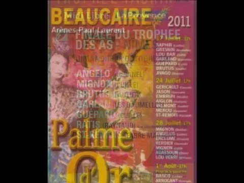 Histoire de Bouvine - La Course Camarguaise