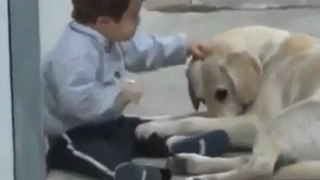 Zihinsel özürlü çocuk ile köpeğin dostluğu