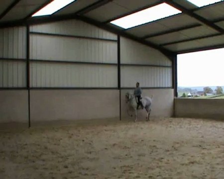 JC sur Maltosa passage piaffer nov 2012