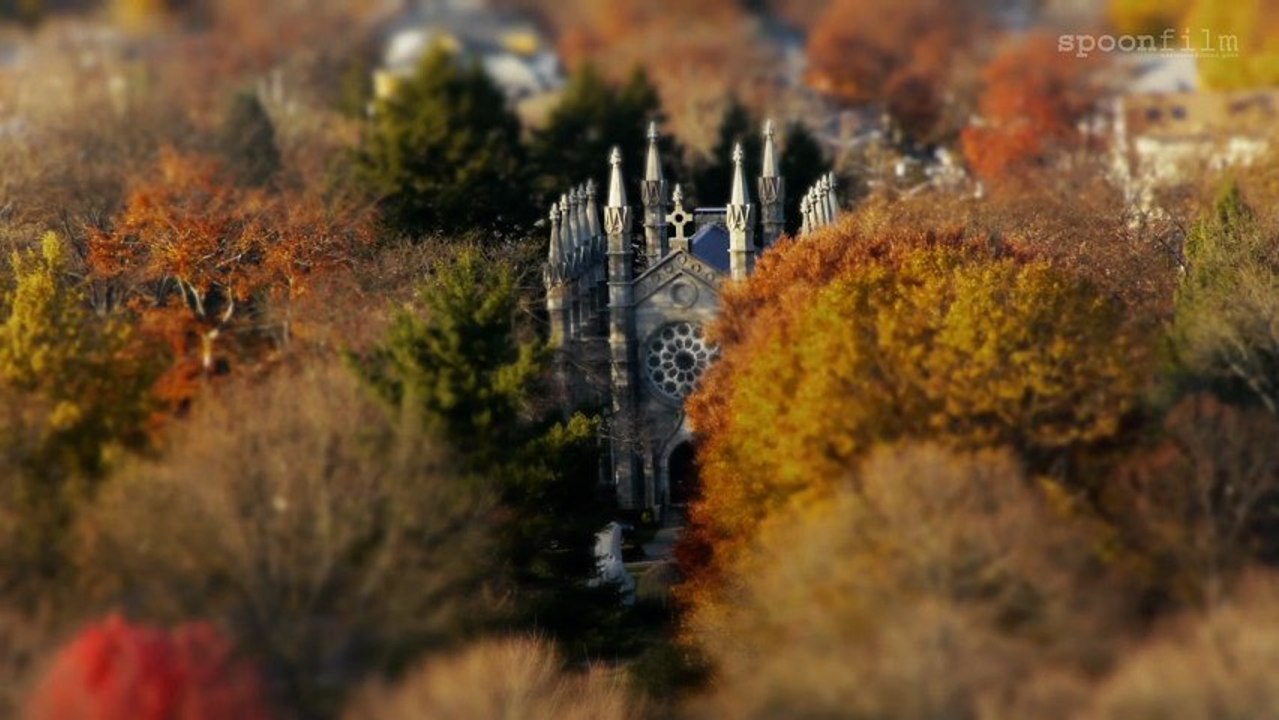 Calm Cemetery
