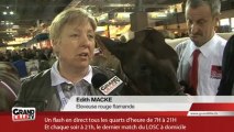 Salon de l'agriculture: 2 vaches rouges flamande primées
