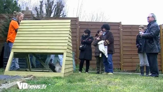 Des poules offertes par la mairie de Saint-Prix