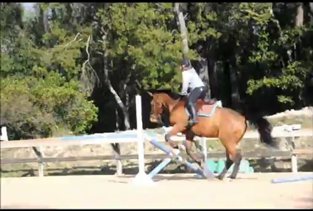 Un ptit bonhomme 20120127