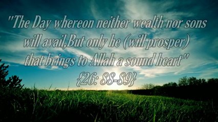 who is Sincerity - Muhammad Mukhtar Ash-Shinqitee -