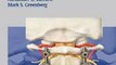 Medicine Book Review: Handbook of Spine Surgery by Ali A Baaj, Praveen V. Mummaneni, Juan S. Uribe, Alexander R. Vaccaro, Mark S. Greenberg