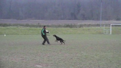 VIONA von der ZONSER HEIDE