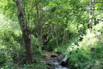 Halil Bytyqi - Ahmet Delia