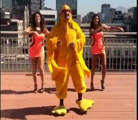 цыплёнок пио