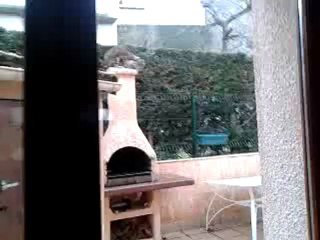 jacky et michel version chats