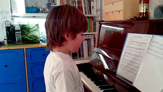 Fly IQ443 Trend, тест камеры - Зайцы